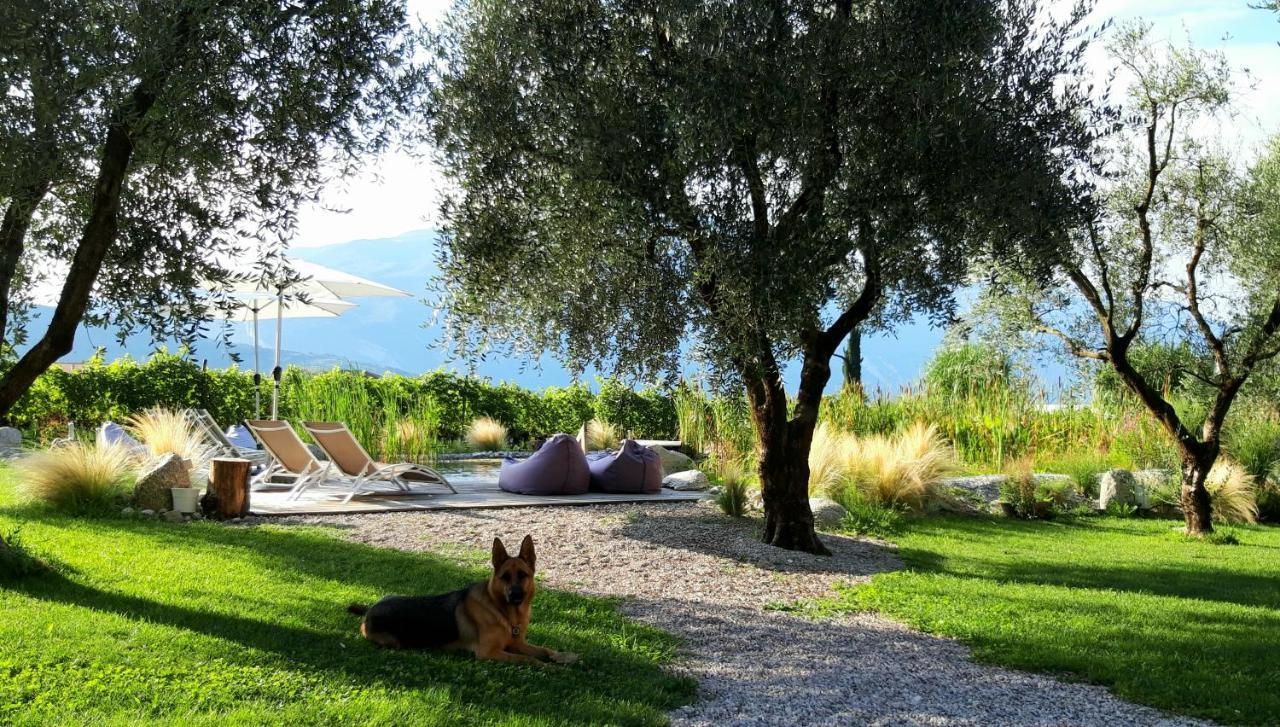 Agritur Fiore D'Ulivo ริวาเดลการ์ดา ภายนอก รูปภาพ