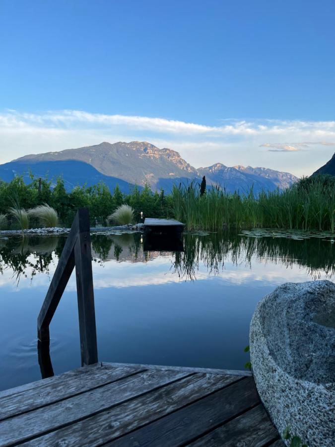 Agritur Fiore D'Ulivo ริวาเดลการ์ดา ภายนอก รูปภาพ