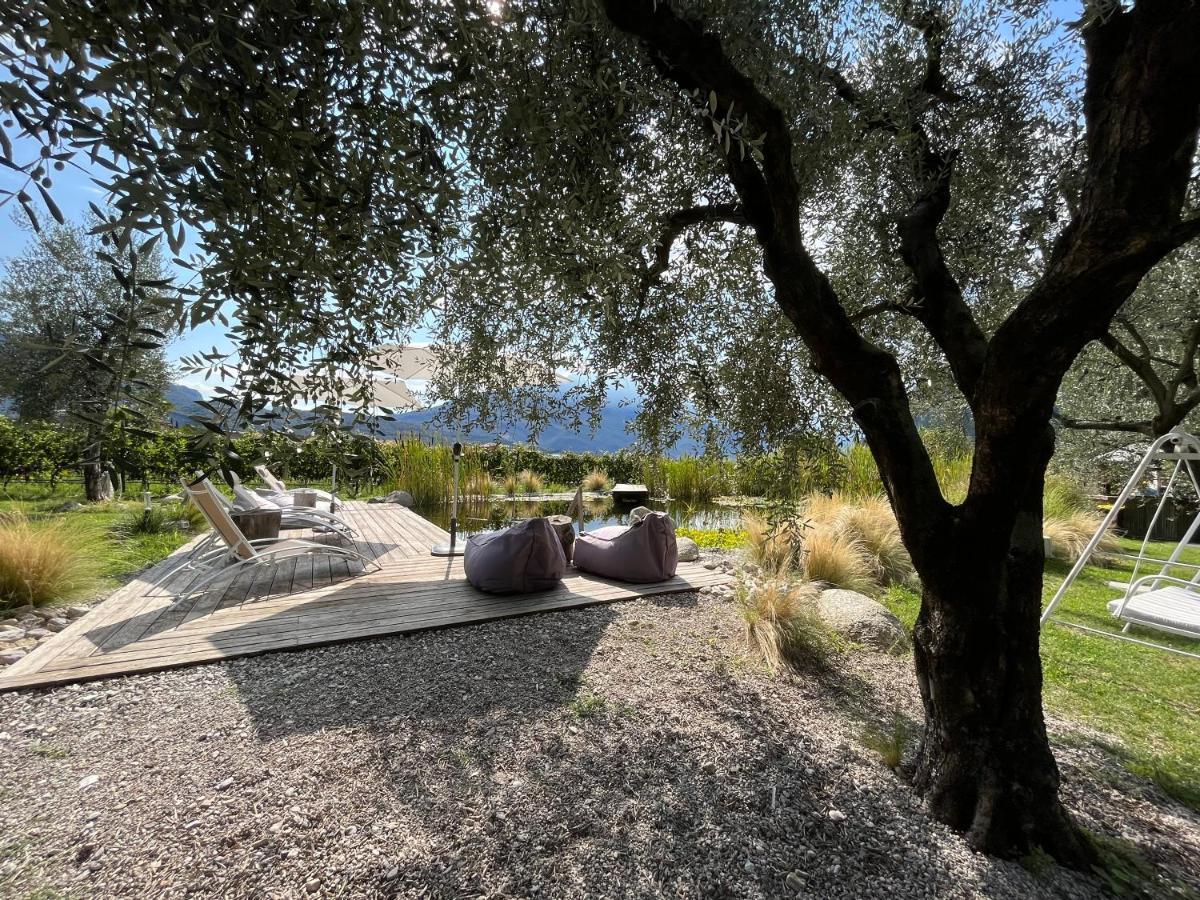 Agritur Fiore D'Ulivo ริวาเดลการ์ดา ภายนอก รูปภาพ