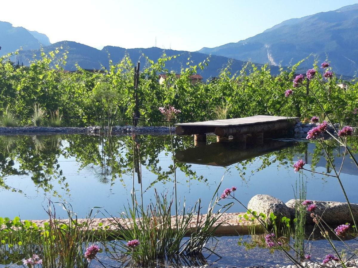 Agritur Fiore D'Ulivo ริวาเดลการ์ดา ภายนอก รูปภาพ